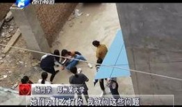 河南爆料女孩事件视频,真相与争议交织的舆论漩涡